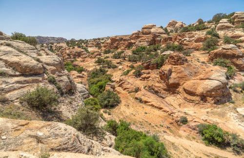 Tafilah Governorate Hotel | Dana bedouin Sky