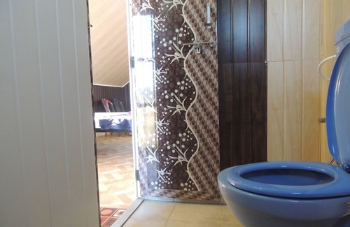 Timbholi Cottage | Dandeli - Aura Jungle Stay