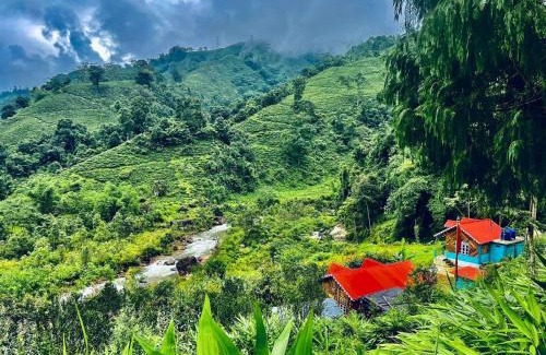 Darjeeling House | Dangia Delight Homestay