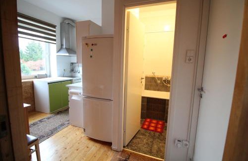 Darsuniskis Apartment | Dangus