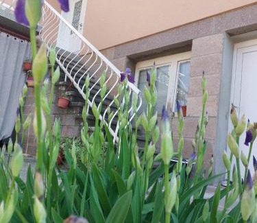 Gornji Milanovac Apartment | Danka