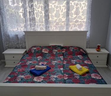 Visegrad Apartment | Danojlić