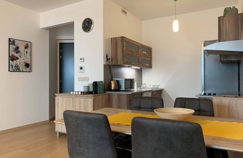 Old Town Apartment | Danube bank, city center, parking, 24/7 intelligent access