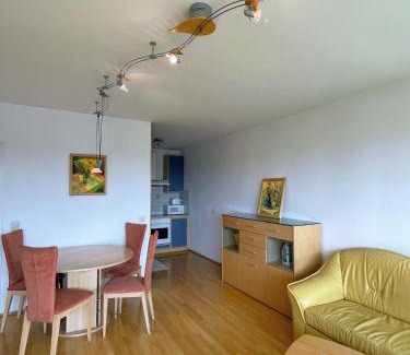 Kaisermuhlen Apartment | Danube Waterfront Apartment