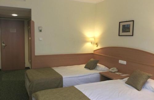 Inner City Budapest Hotel | Danubius Hotel Erzsébet City Center