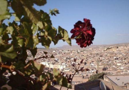 Talaa House | Dar Al Safadi