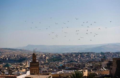 Talaa Bed & Breakfast | dar annee