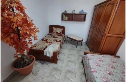 Chergui House | Dar Aziz
