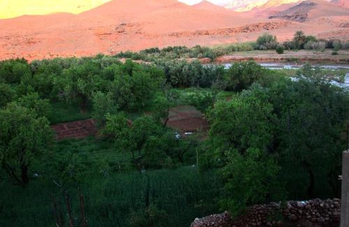 Tamedakhte House | Dar Bilal
