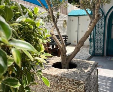 Chott Mariem House | Dar Echatt Chott Mariem Sousse