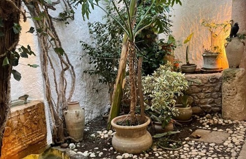Medina House | Dar Essaroual Hammamet