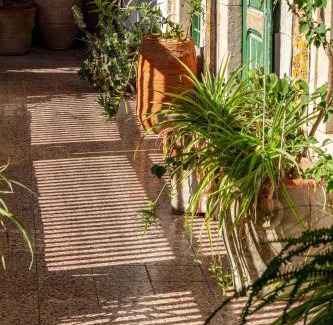 El Gorjani House | Dar Hayder-la Medina