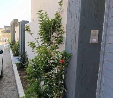 Dar Allouche Villa | Dar Marhaba karkouane
