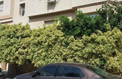 Ain Zaghouan Apartment | 'dar Nour'