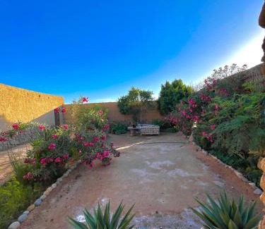 Rissani Bed & Breakfast | Dar Oasis Moringa