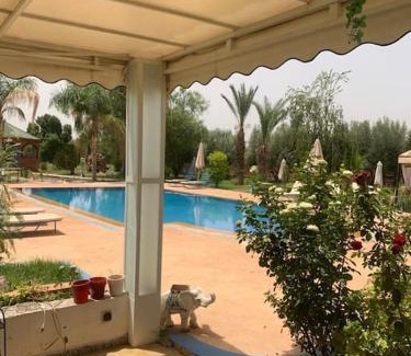 Saada House | Dar Saada