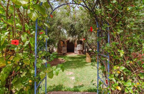 Oulad Hassoune House | Dar Salah - Eddine Oasis Pool & SPA