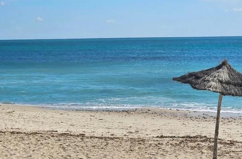 Eastern Hammamet Apartment | Dar Sonia