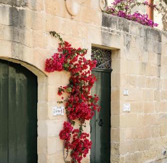 Ta' Għammar Villa | Dar tal-Patri Farmhouse with Private Pool