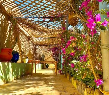 Hassilabied House | Dar tata