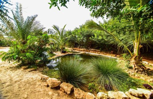 Dakhla House | Dar Tawarta Guest House Dakhla