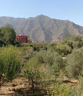 Ouirgane Villa | Dar touften