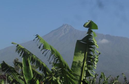 Nkoanrua House | Darema Homestay