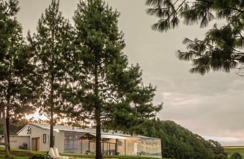 Merrivale Cabin | Dargle Forest Lodge