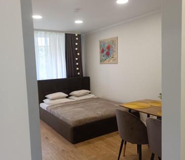 Vilnius Apartment | Dariaus ir Girėno 6 Apartments
