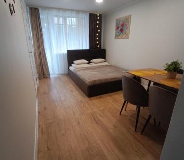 Vilnius Apartment | Dariaus ir Girėno 6 Apartments