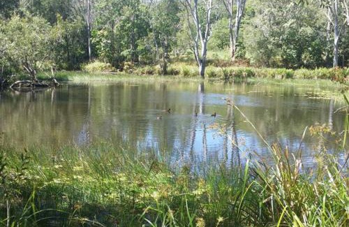 Yandina Creek House | Dark Moon House