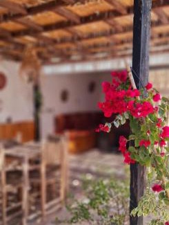 Dakhla Bed & Breakfast | DARKOM