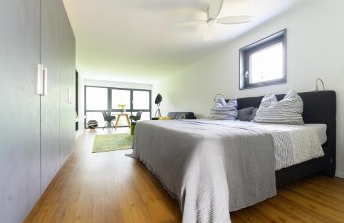 Kippenheim Apartment | Das Andere - Gästeapartment