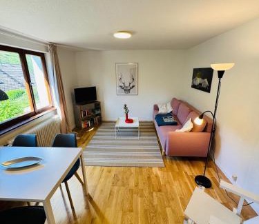 Falkau Apartment | Das Falkhaus am Wasserfall