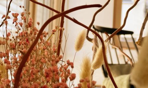 Loerrach Apartment | Das grüne Haus - Lörrach