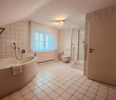 Sinzheim Hotel | Das Haus am See