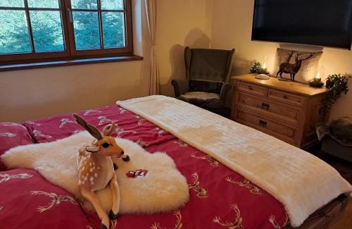 Oberndorf bei Kitzbuhel Apartment | das historische MEIXNER am Rerobichl Bezirk Kitzbühel