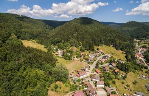Sieber House | Das-Urlaubszuhause-fuer-Familien-Grossfamilien-Mehrfamilien-und-kleine-Gruppen-bis-zum-12-Personen-mit-vielen-Unterhaltungsmoeglichkeiten-im-Harz