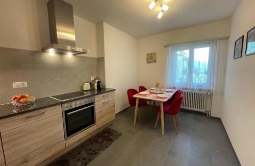Gordola Apartment | DaSaNa Appartamento