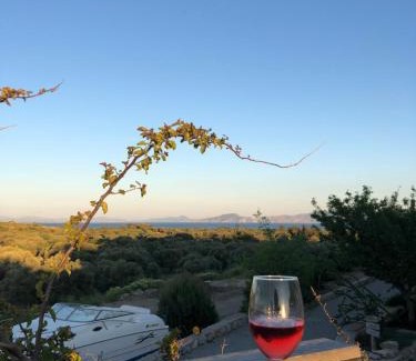 Datca Bed & Breakfast | Datça Vineyard Guesthouse - Over 14 years old only