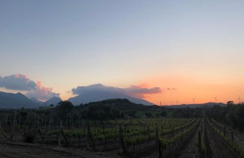 Datca Bed & Breakfast | Datça Vineyard Guesthouse - Over 14 years old only