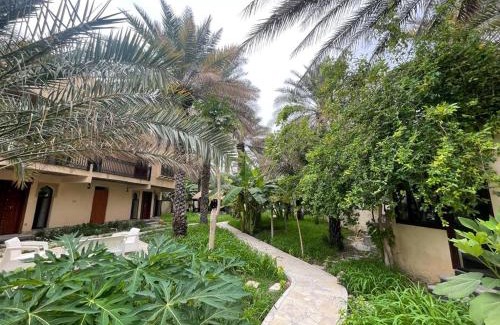 Nizwa House | Date Palm Inn