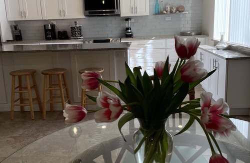 Siesta Key Condo | Dates available!