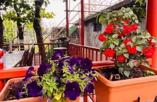 Khelvachauri Apartment | Dato's Guesthouse
