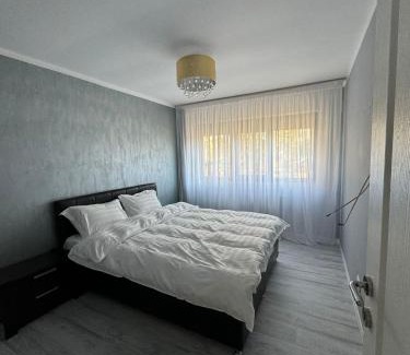 Buzau Apartment | David Apartament’s