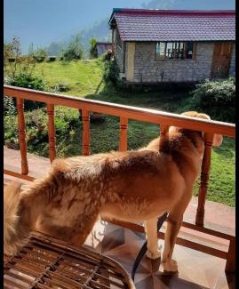 Kharsali House | Dayara bugyal sarai