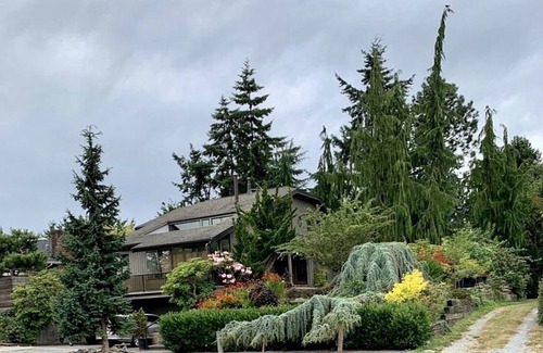 Lawton Park House | Daylight Mother-in-law in Magnolia Seattle