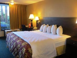 Florida Central Atlantic Coast Hotel | Days Inn by Wyndham Orlando Conv. Center/International Dr