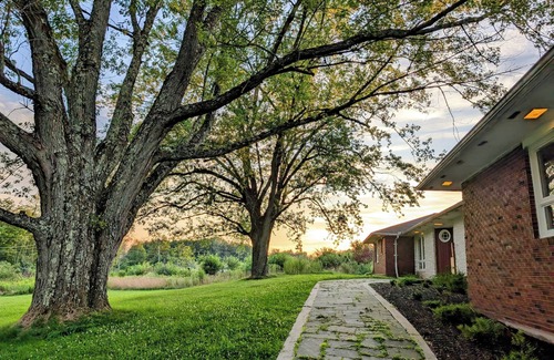 Swan Lake House | Dazzling Design, Hot Tub, Huge Rooms, Privacy, 20 acres