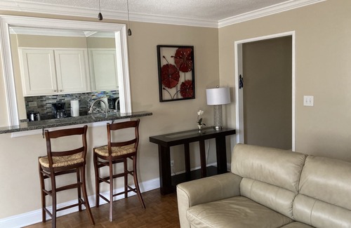 Downtown Atlanta Condo | Dazzling Penthouse.Downtown Atlanta.Free Reserved Parking